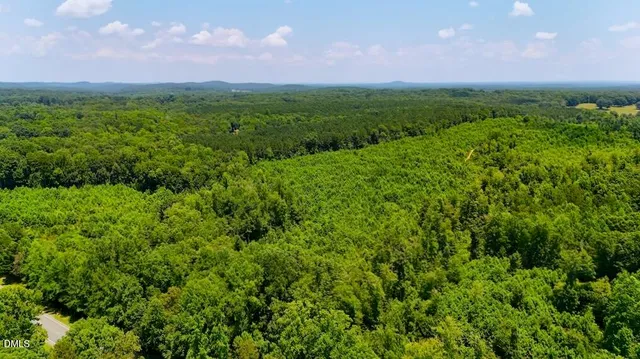 a view of a green field with lots of plants in it