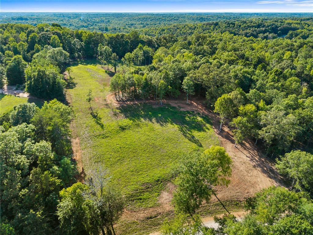 75 Hidden Acres Trail Pelzer, SC 29669 - Photo 4 of 32