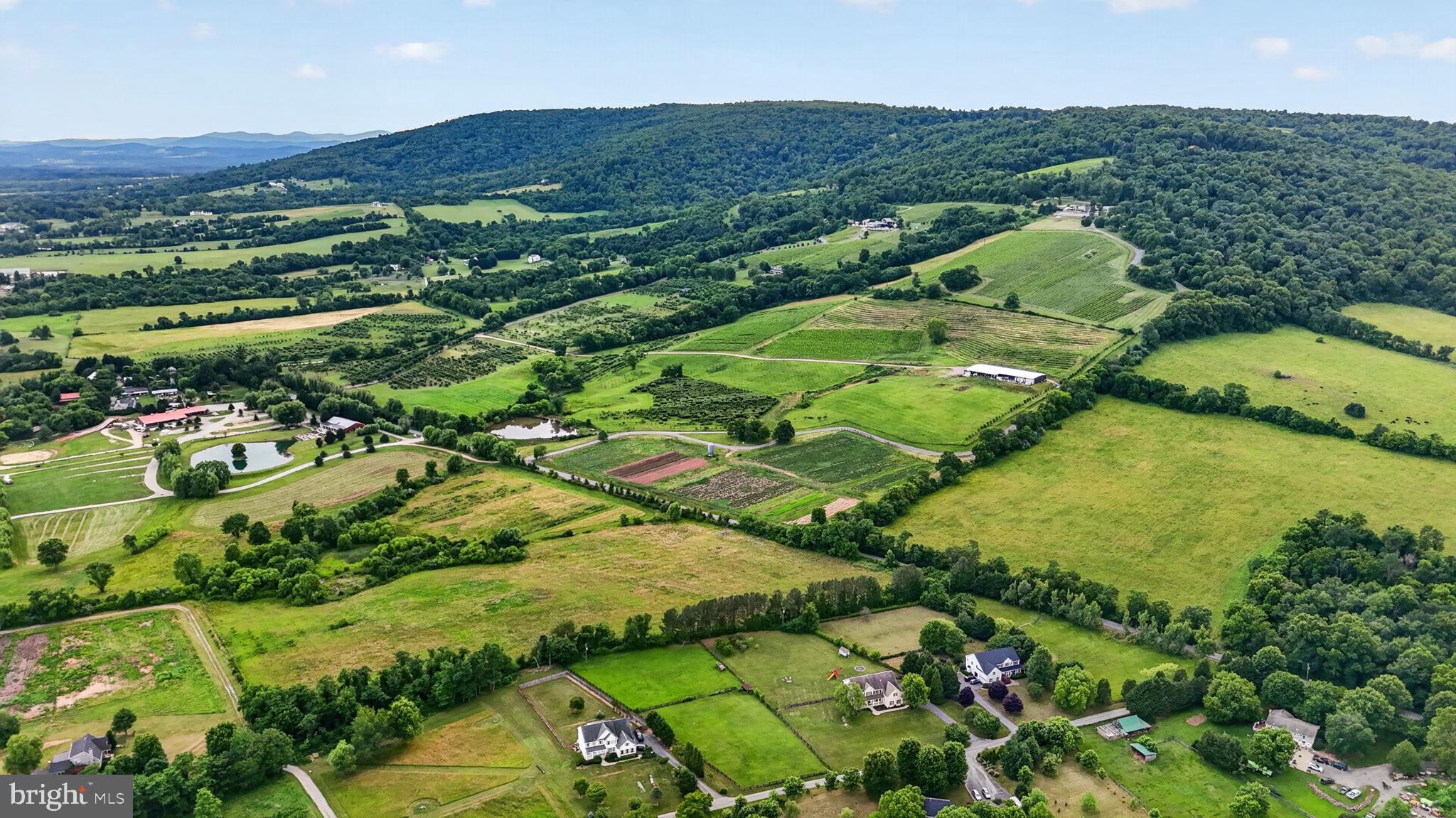 18616 Foggy Bottom Road Bluemont, VA 20135 - Photo 130 of 137