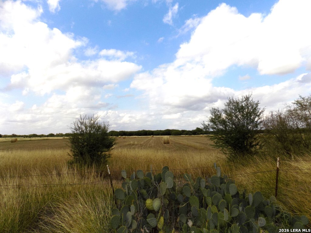 1175 Moses Road Quemado, TX 78877 - Photo 2 of 5