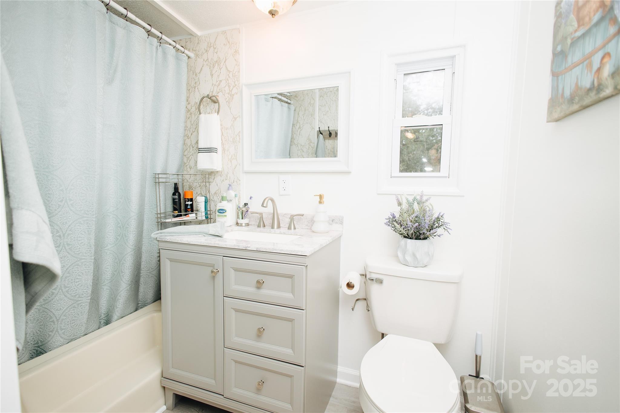 325 Griggs Road Old Fort, NC 28762 - Photo 11 of 36 a bathroom with a toilet sink and mirror