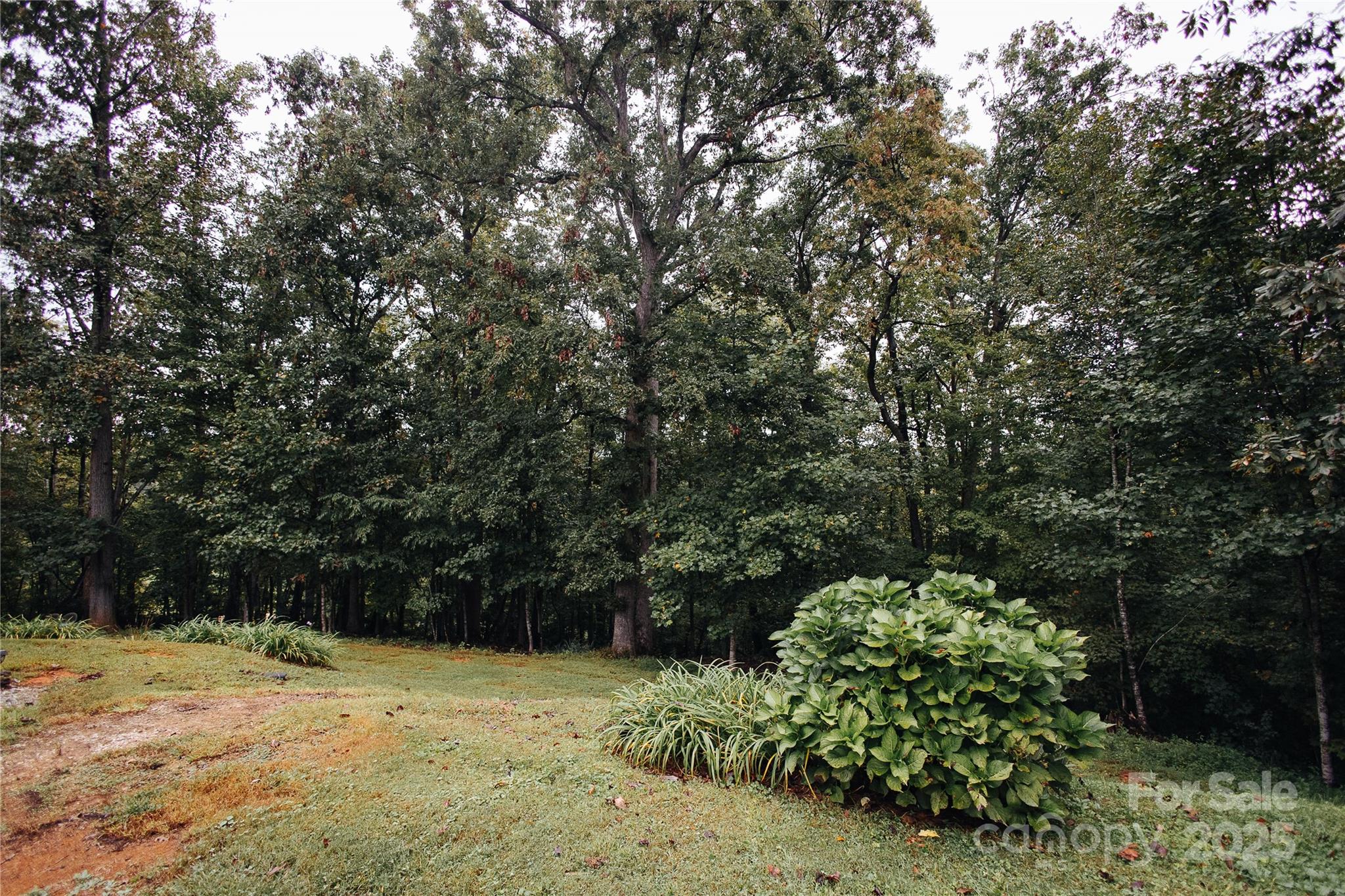 325 Griggs Road Old Fort, NC 28762 - Photo 4 of 36 a view of a yard
