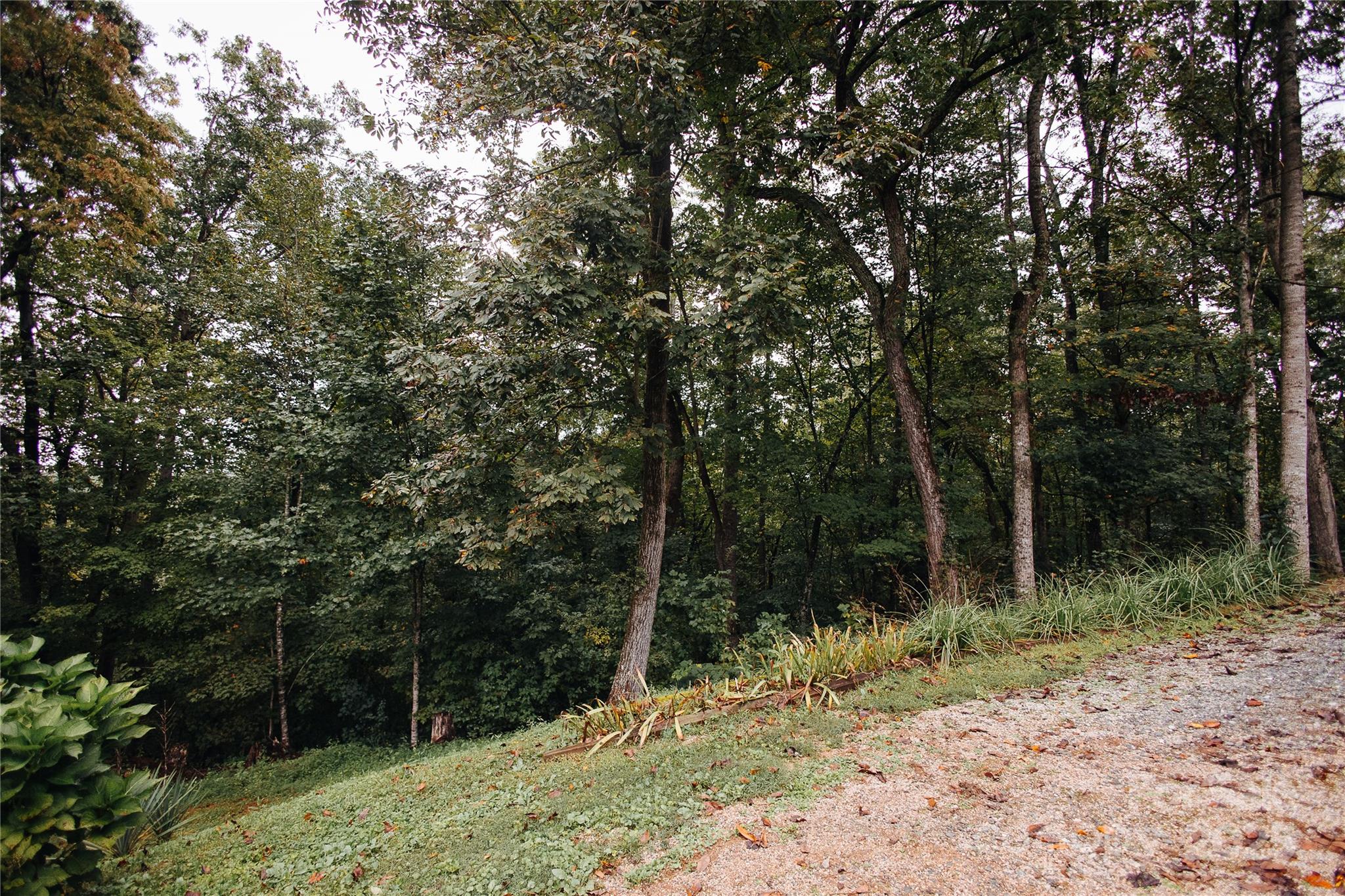 325 Griggs Road Old Fort, NC 28762 - Photo 5 of 36 a view of outdoor space and yard