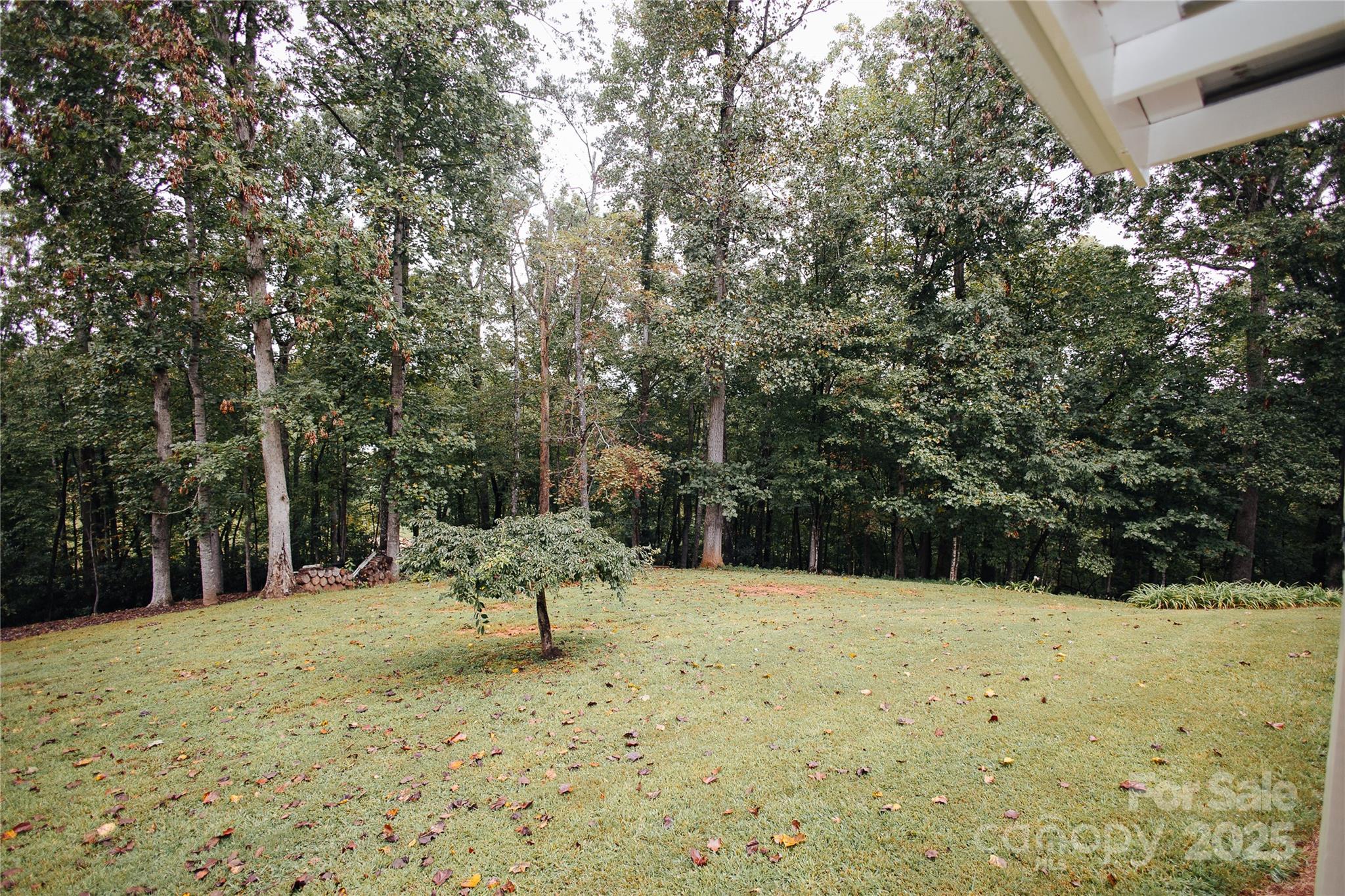 325 Griggs Road Old Fort, NC 28762 - Photo 7 of 36