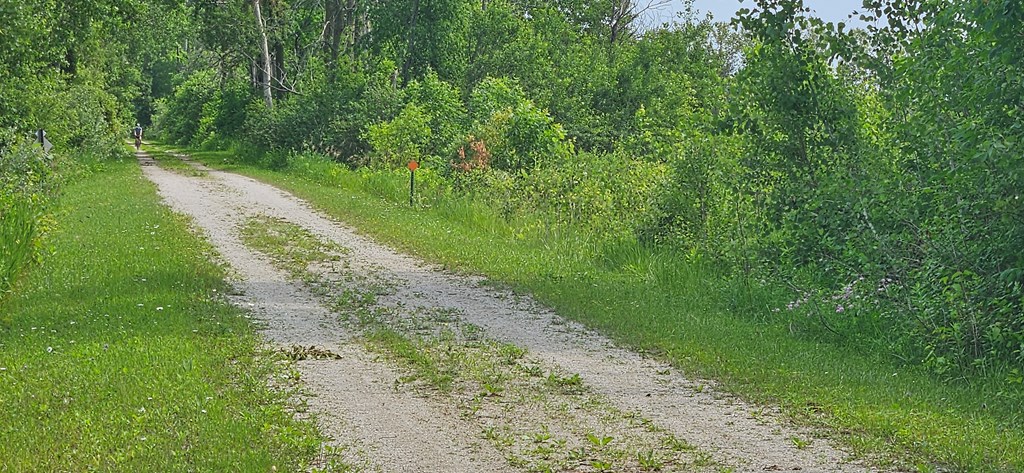 Lot 2 County Road Algoma, WI 54201 - Photo 10 of 10