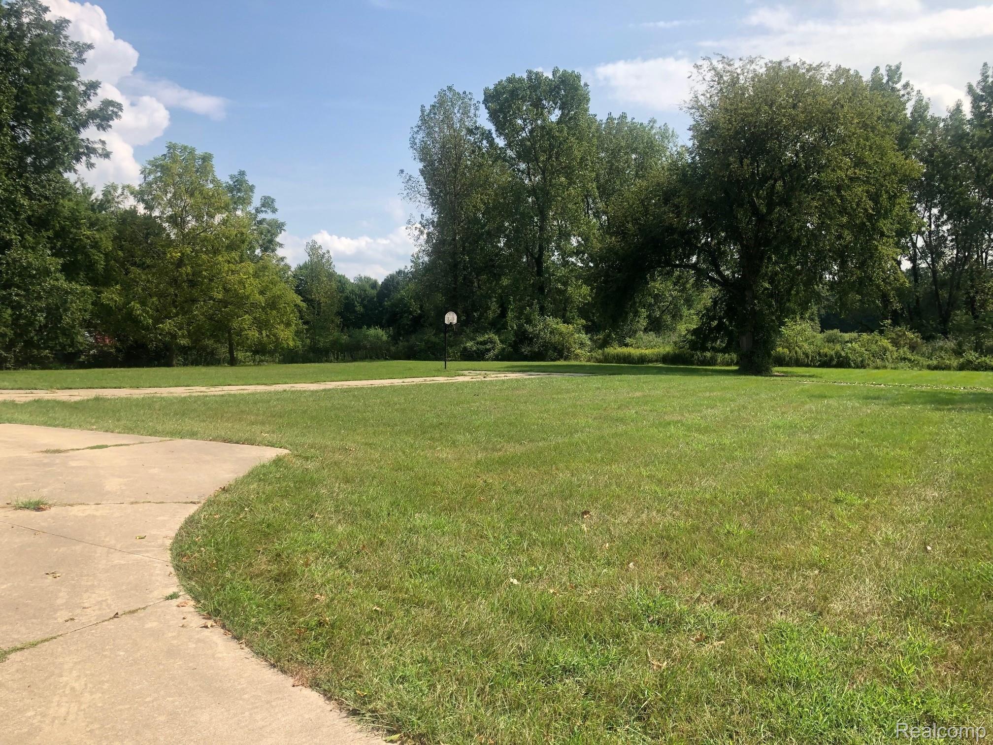 47245 Wear Road Belleville, MI 48111 - Photo 17 of 17 Wear - Partial View of Land.jpg