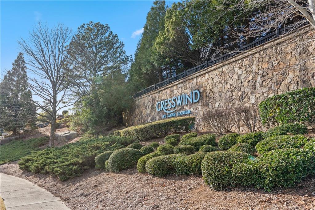 3457 Locust Cove Road Gainesville, GA 30504 - Photo 49 of 54 a view of a street with potted plants and large tree