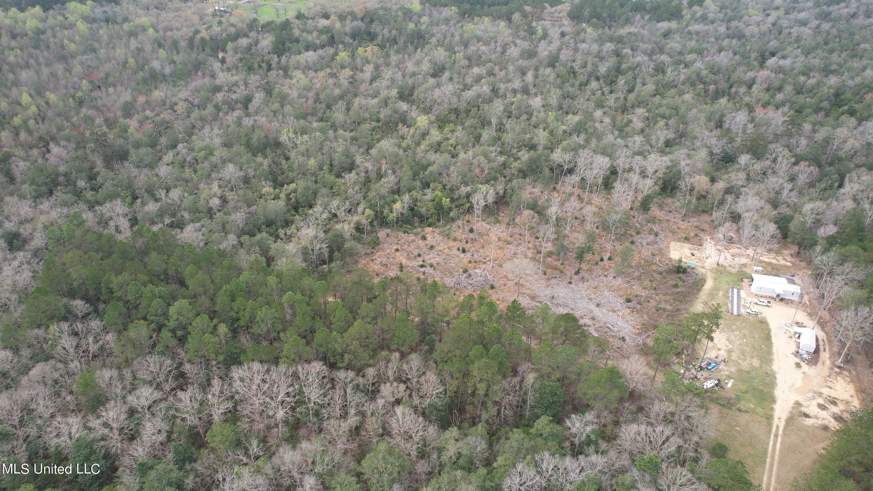 3 Bluff Creek Road Wiggins, MS 39577 - Photo 17 of 26 DJI_0600