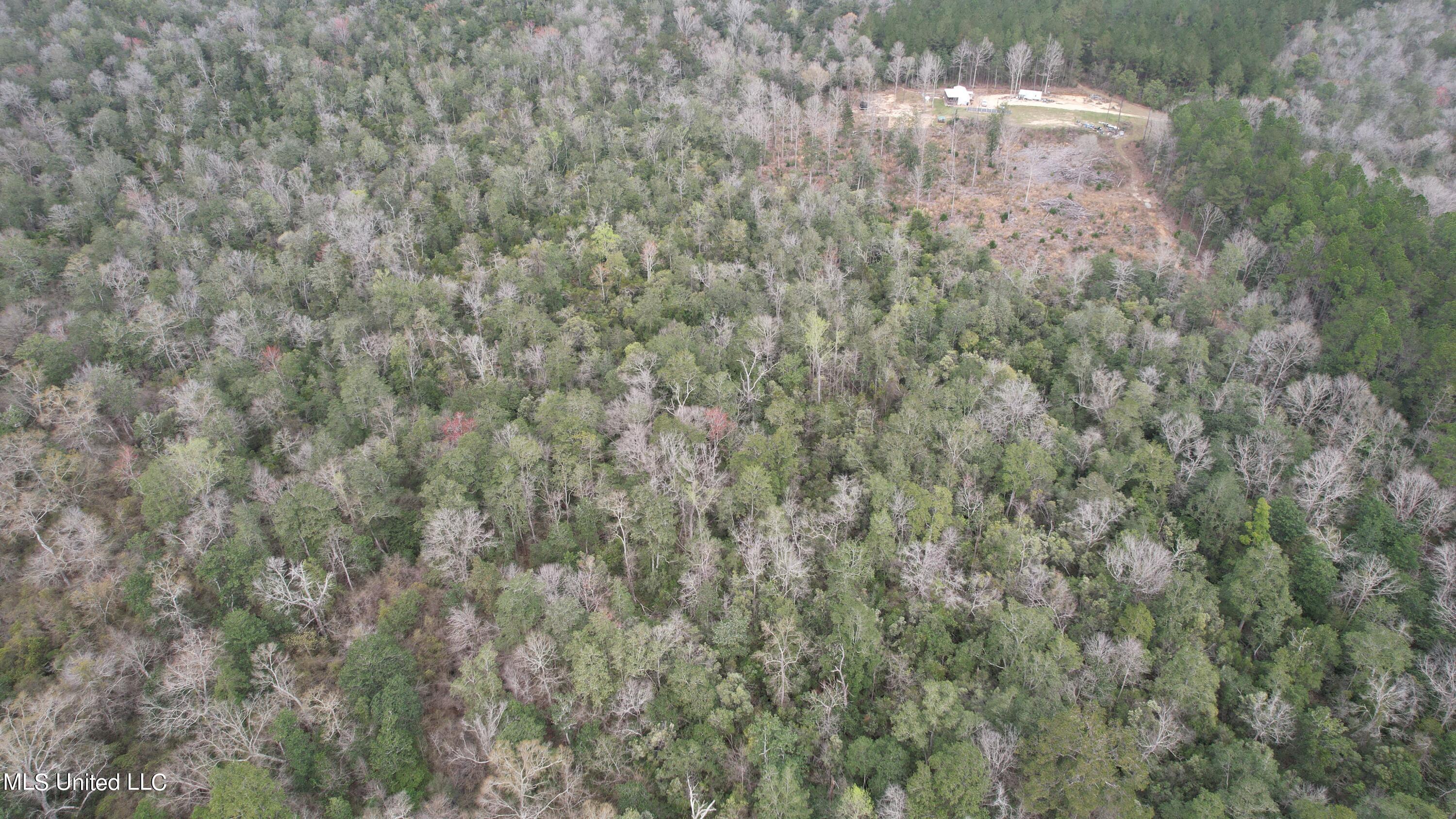 3 Bluff Creek Road Wiggins, MS 39577 - Photo 18 of 26 DJI_0601