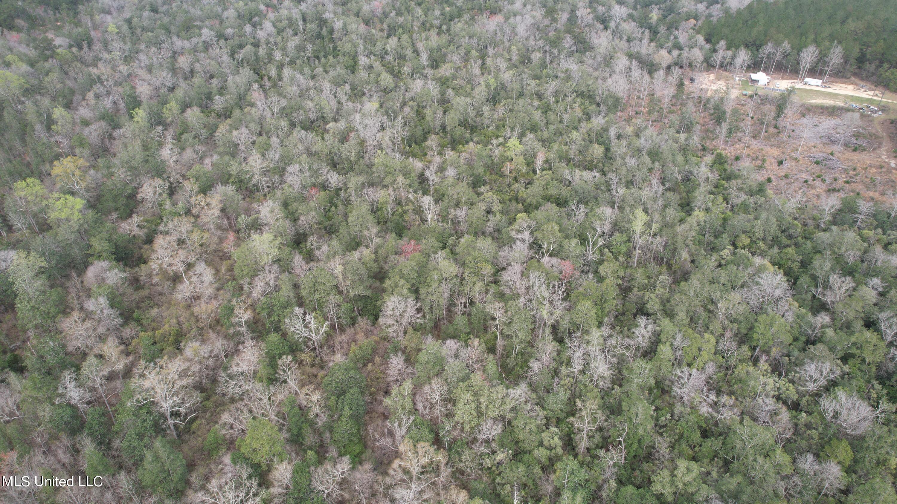 3 Bluff Creek Road Wiggins, MS 39577 - Photo 19 of 26 DJI_0602