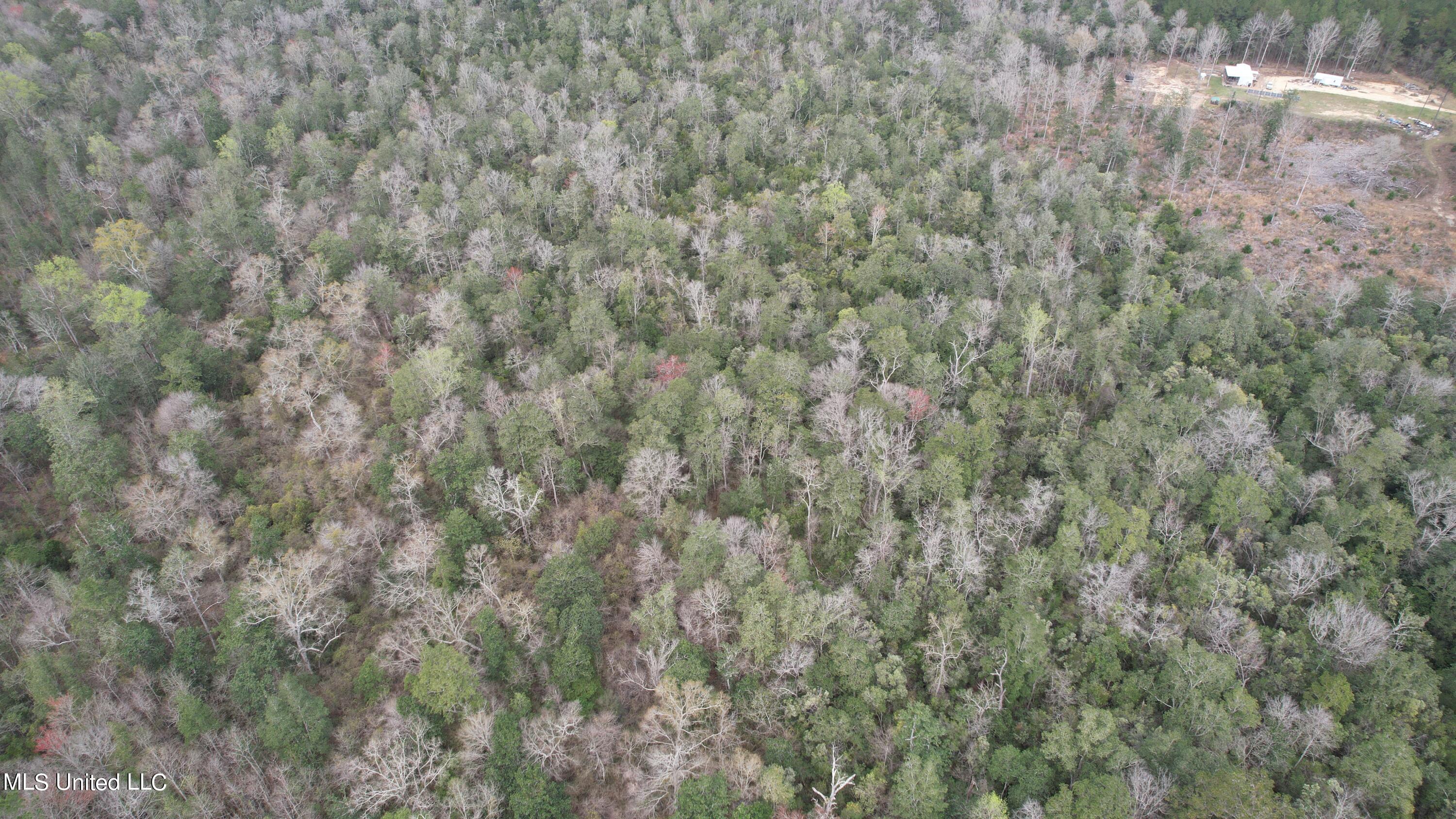 3 Bluff Creek Road Wiggins, MS 39577 - Photo 20 of 26 DJI_0603