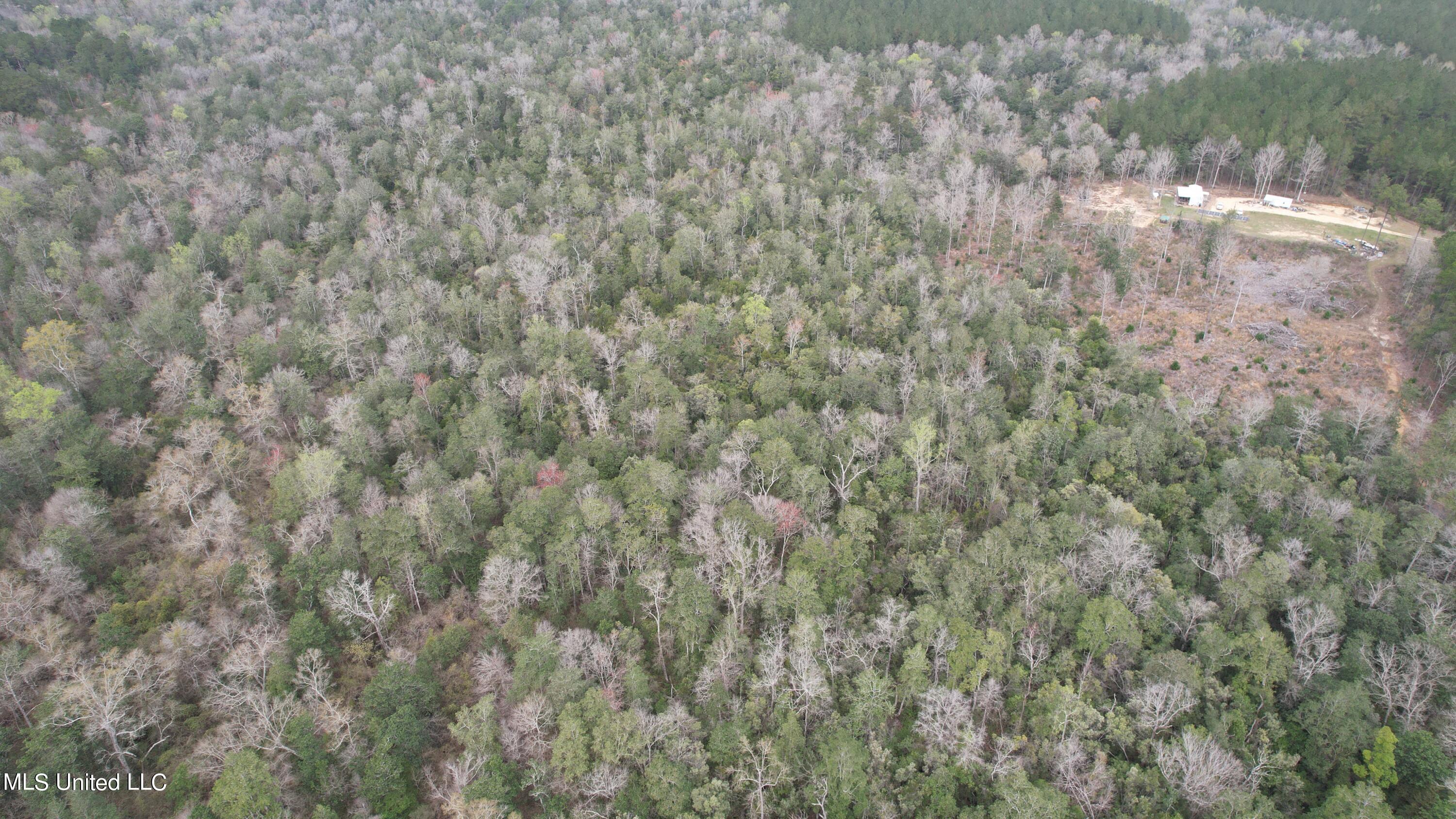 3 Bluff Creek Road Wiggins, MS 39577 - Photo 21 of 26 DJI_0604
