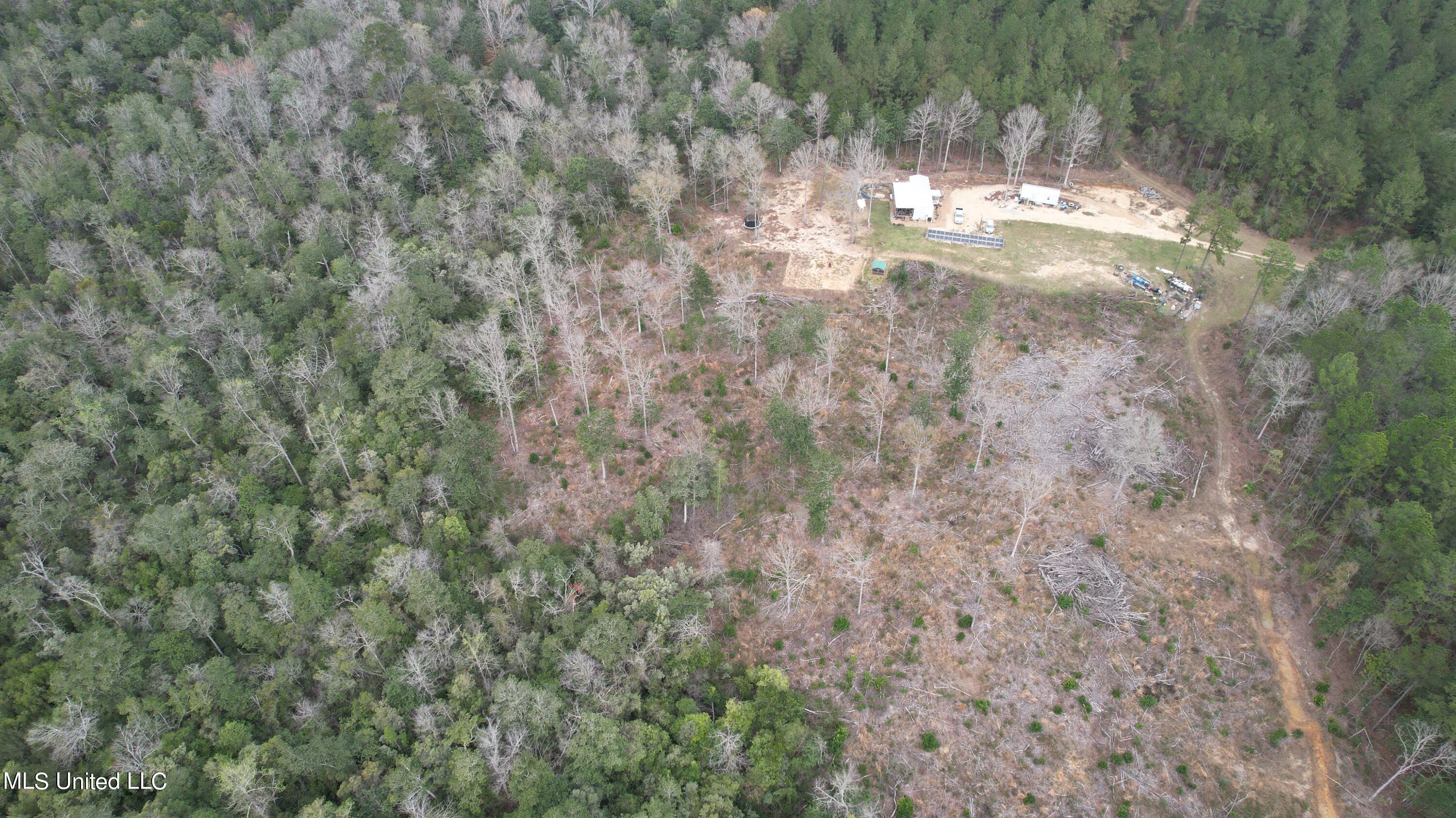 3 Bluff Creek Road Wiggins, MS 39577 - Photo 22 of 26 DJI_0605