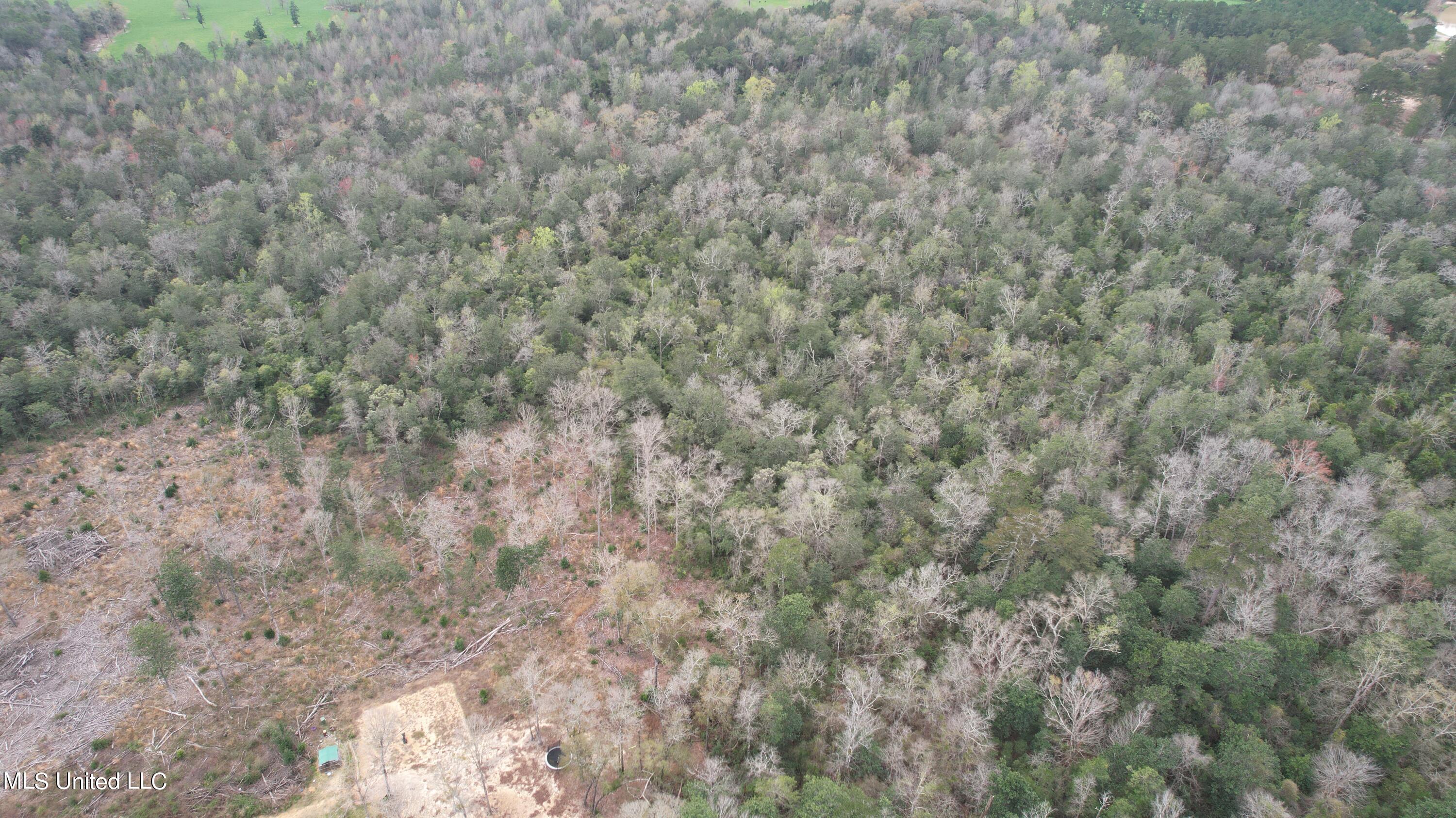 3 Bluff Creek Road Wiggins, MS 39577 - Photo 24 of 26 DJI_0608