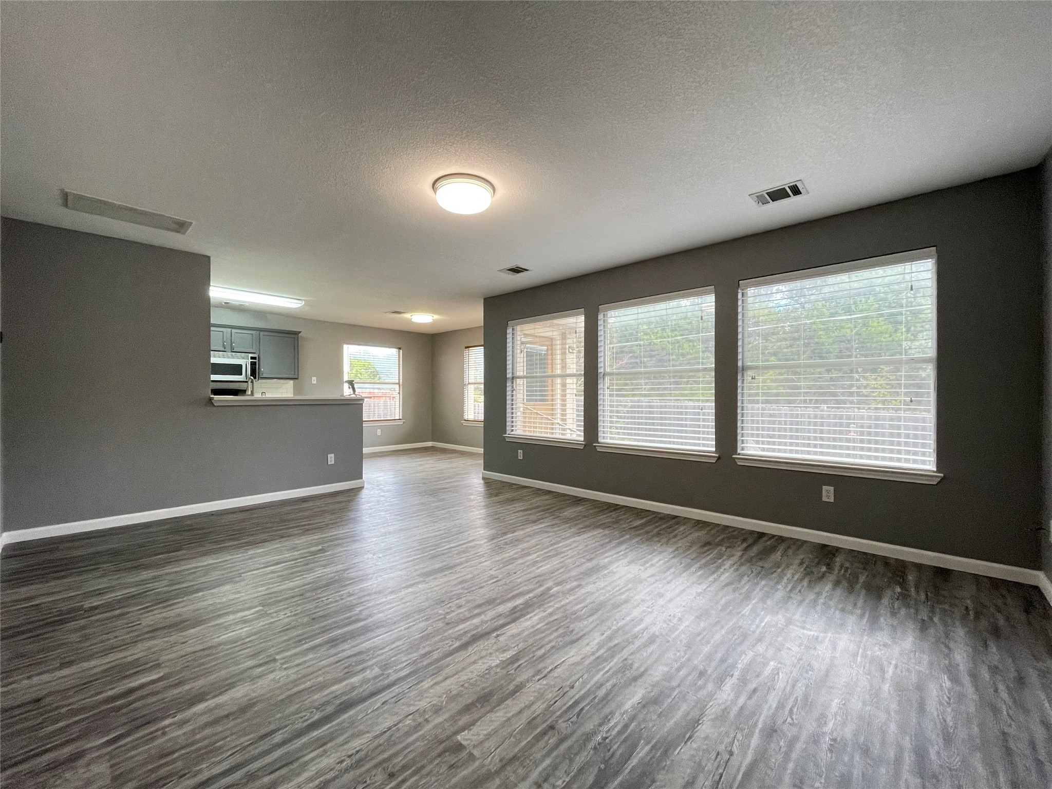 3638 Windhill Loop Round Rock, TX 78681 - Photo 10 of 32 Spacious interior featuring wood-finish flooring, ample natural light from multiple windows, and a partial wall separating living areas