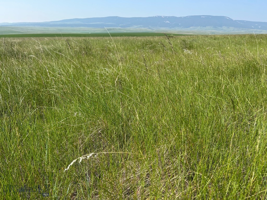 Tbd U Bet Road Buffalo, MT 59418 - Photo 3 of 30 Gallery Image 3