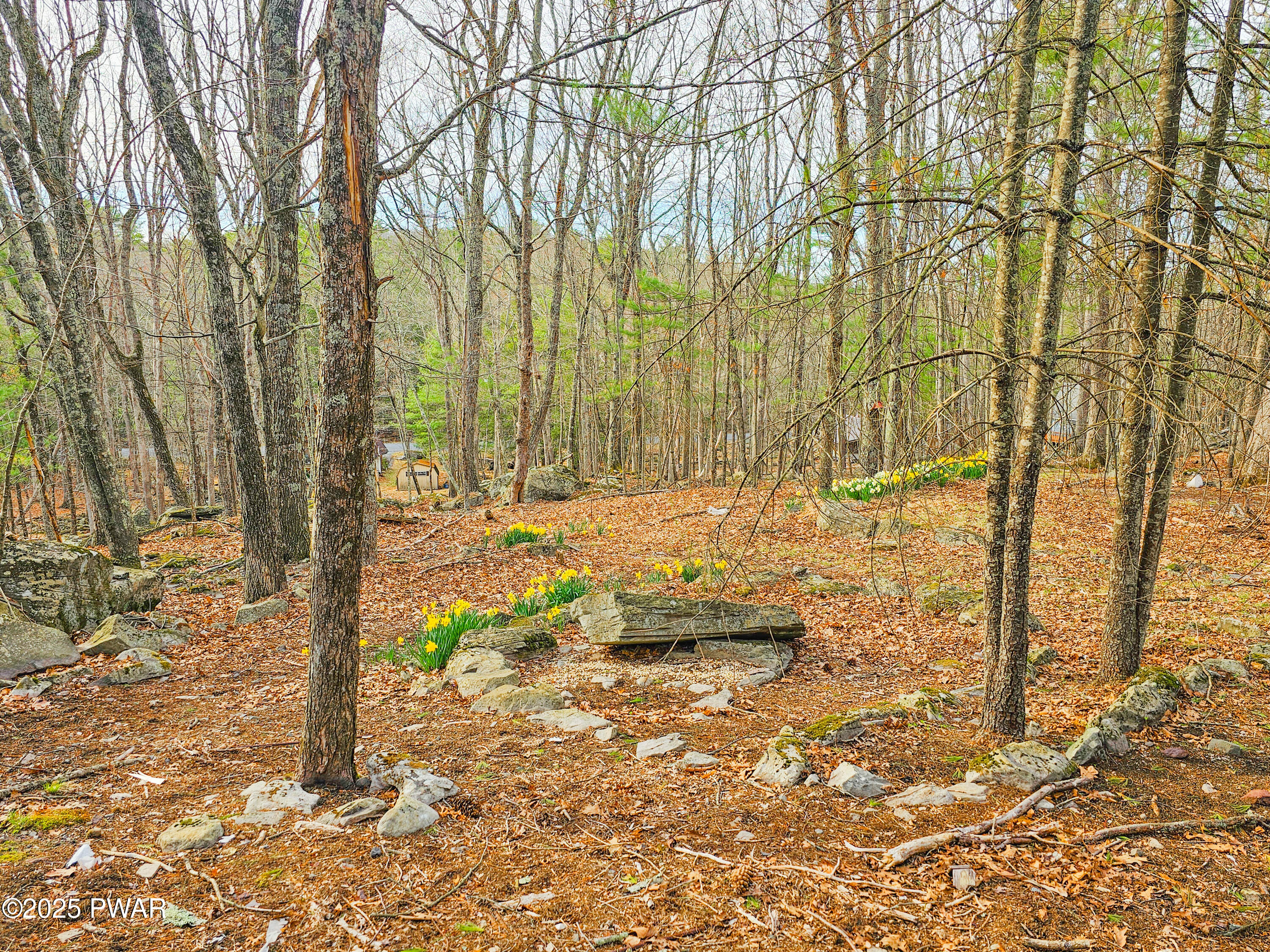 133 Pebble Rock Road Lackawaxen, PA 18435 - Photo 33 of 37