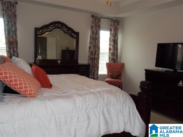 452 Blackberry Boulevard Springville, AL 35146 - Photo 12 of 21