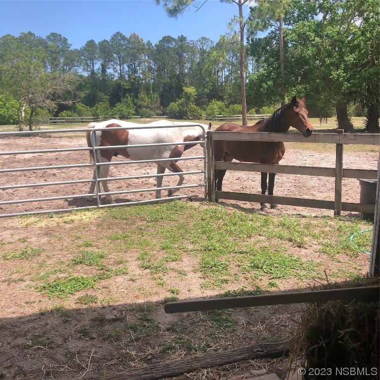 32 Winchester Road Ormond Beach, FL 32174 - Photo 48 of 84