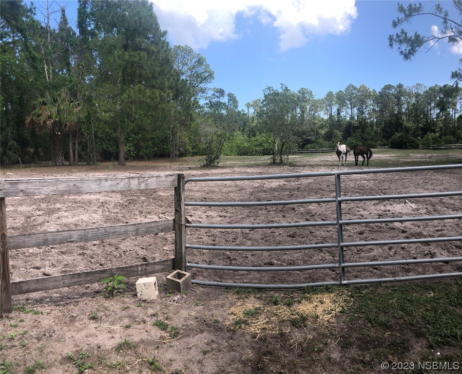 32 Winchester Road Ormond Beach, FL 32174 - Photo 50 of 84 a view of outdoor space