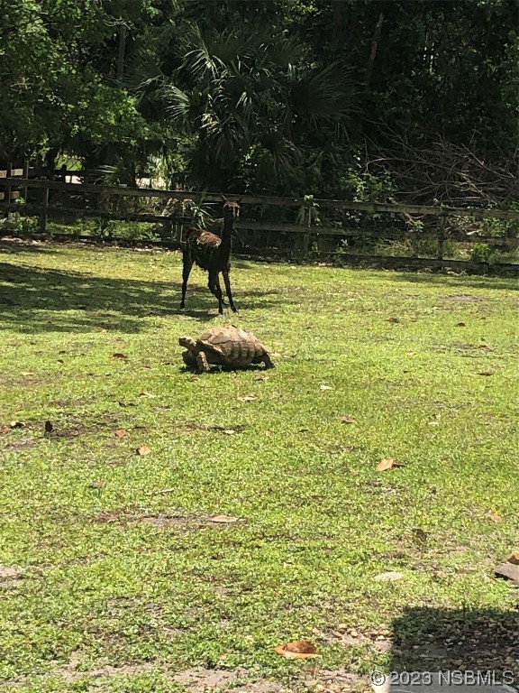 32 Winchester Road Ormond Beach, FL 32174 - Photo 51 of 84 a view of a swimming pool with a yard