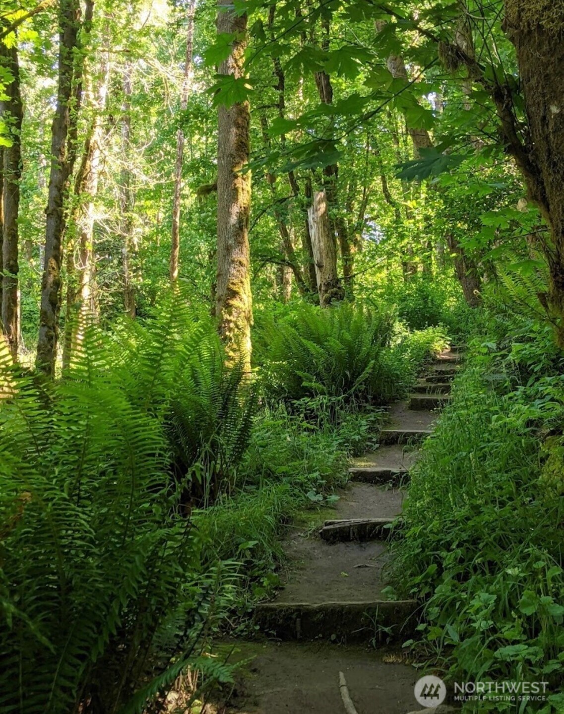 303 South Buckner Street Centralia, WA 98531 - Photo 31 of 33 a view of a garden
