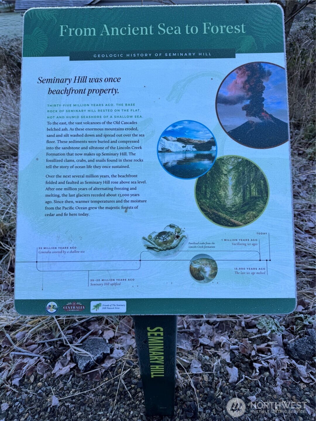 303 South Buckner Street Centralia, WA 98531 - Photo 32 of 33