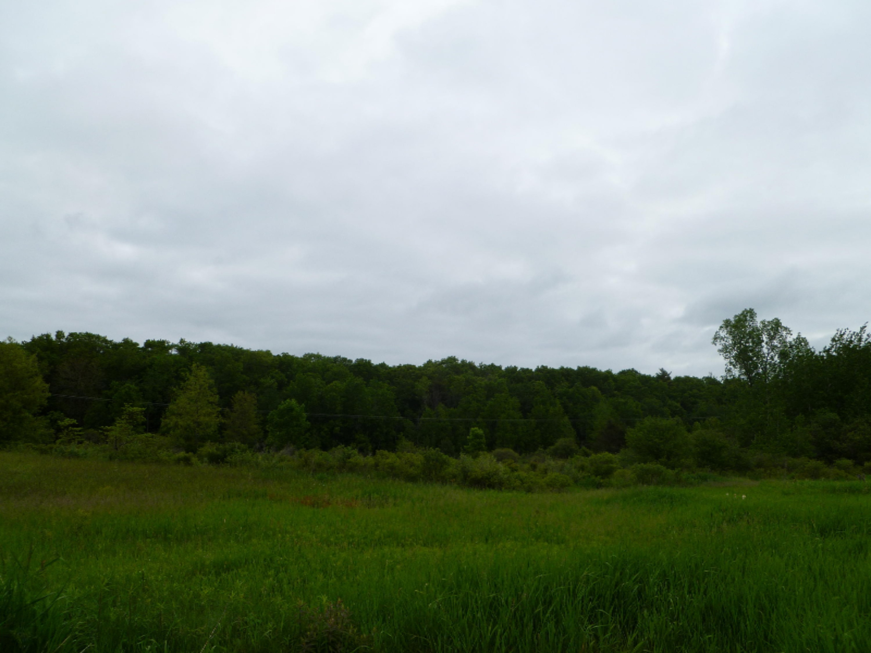 1968 Dame Road Whitehall, MI 49461 - Photo 15 of 16 P1000703