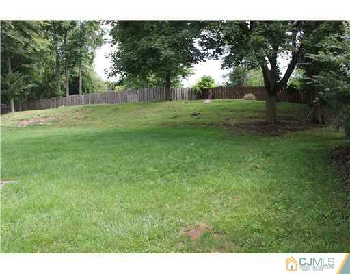 10 Butler Road Edison, NJ 08820 - Photo 13 of 13 a view of a field with trees in the background