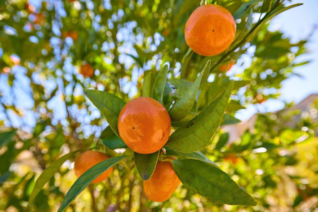 1571 David Drive Escondido, CA 92026 - Photo 32 of 50