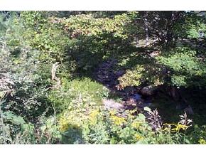 104 Samoset, Unit 104 Gilford, NH 03249 - Photo 2 of 6