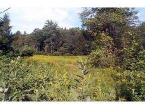 104 Samoset, Unit 104 Gilford, NH 03249 - Photo 4 of 6