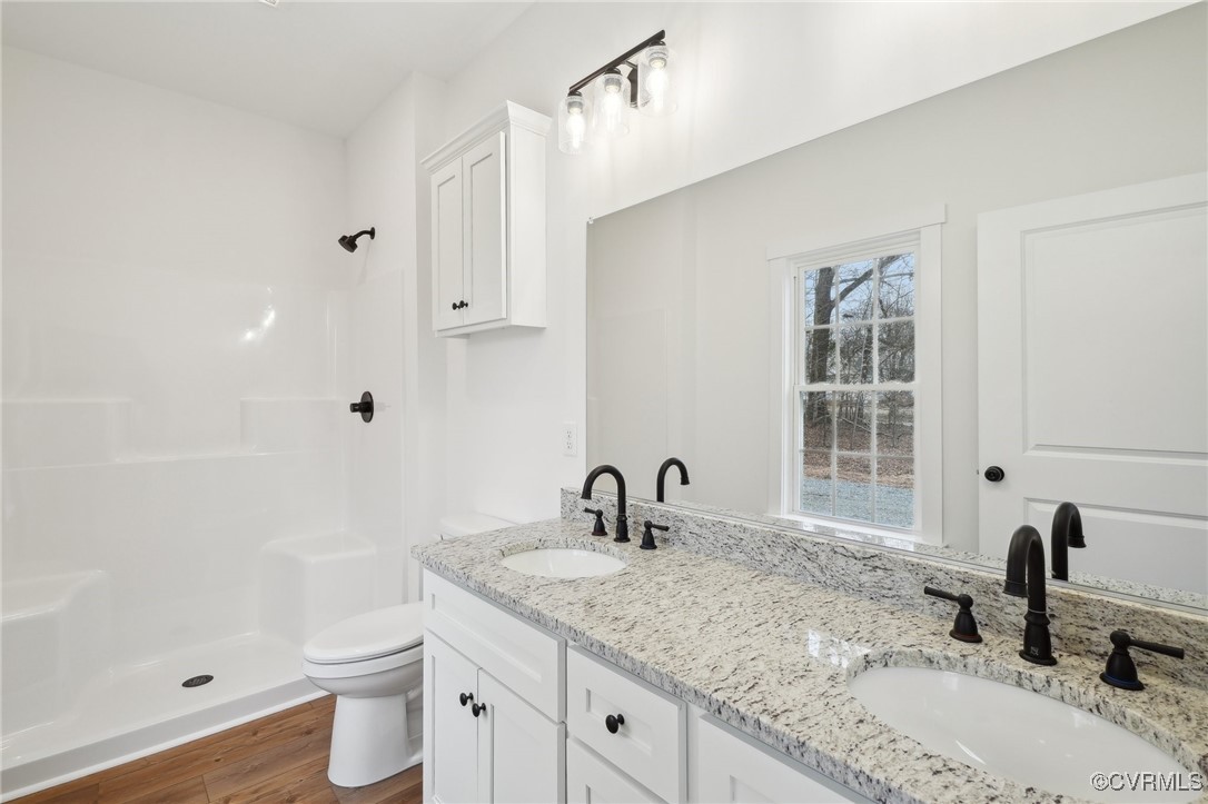 2359 Cedar Hill Road Mineral, VA 23117 - Photo 28 of 36 a bathroom with a granite countertop sink toilet a large mirror a bathtub and shower