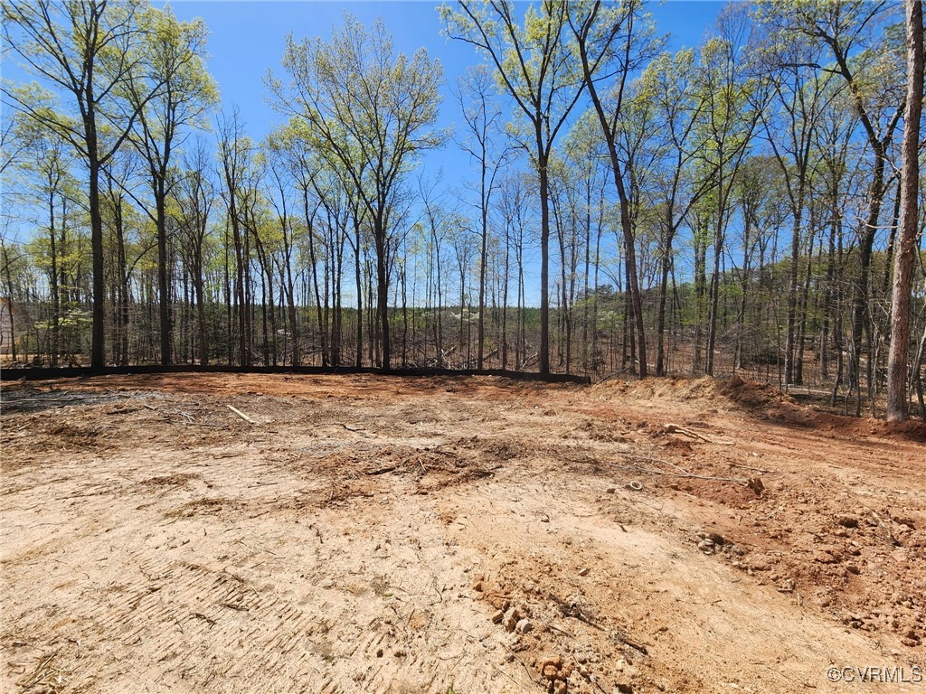 2359 Cedar Hill Road Mineral, VA 23117 - Photo 6 of 36 a view of outdoor space with trees