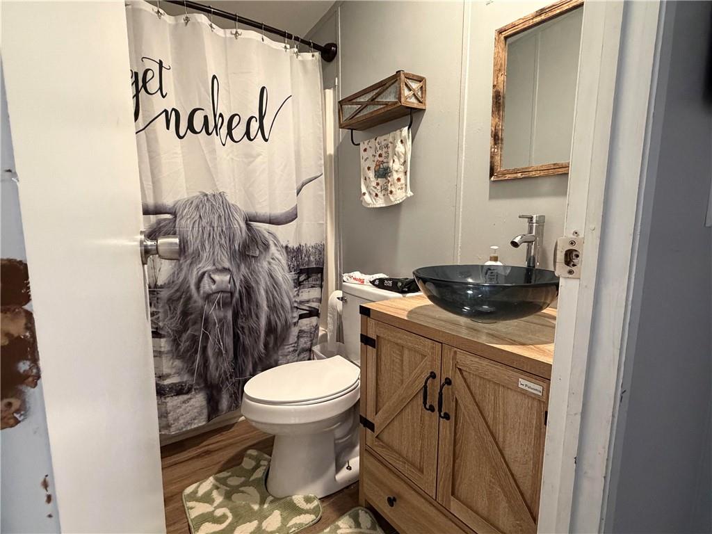 828 Harrison Road Carrollton, GA 30117 - Photo 10 of 20 a bathroom with a toilet a sink and a mirror