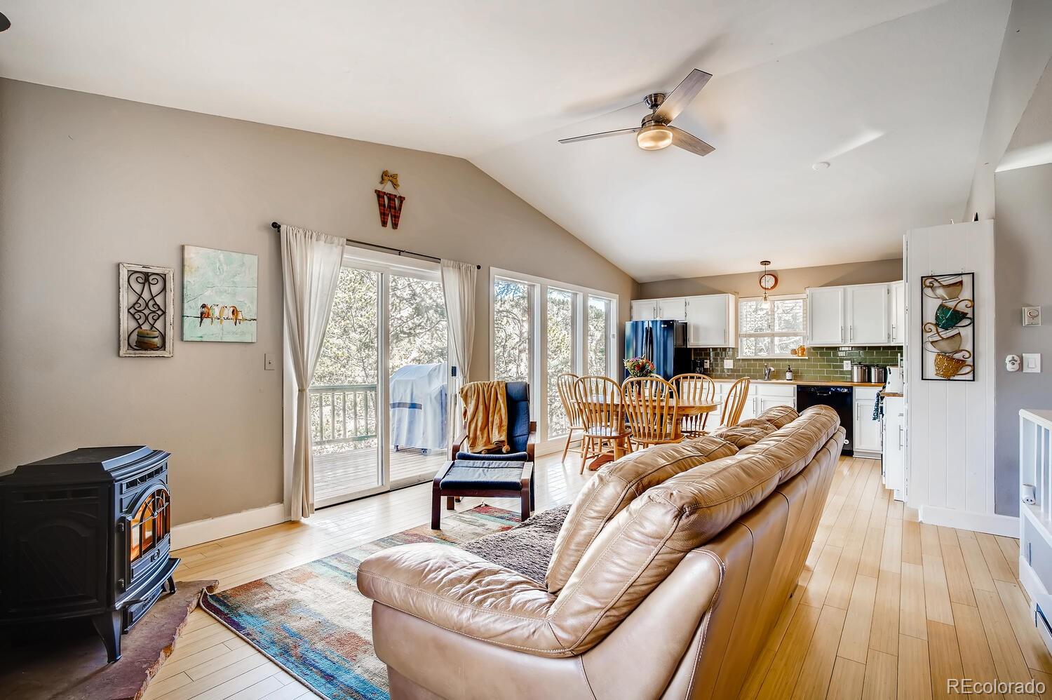 243 Silver Springs Road Bailey, CO 80421 - Photo 2 of 28 Gallery Image 2