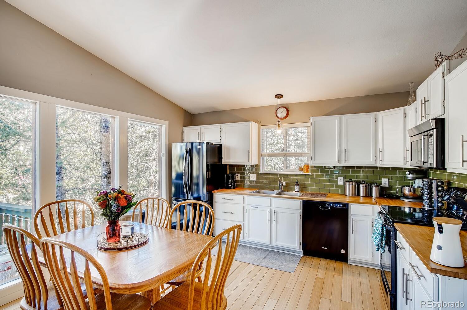 243 Silver Springs Road Bailey, CO 80421 - Photo 3 of 28 Gallery Image 3