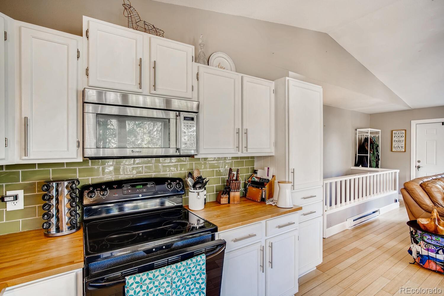 243 Silver Springs Road Bailey, CO 80421 - Photo 6 of 28 Gallery Image 6