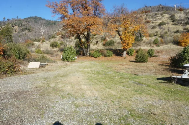 a row of trees with mountain view