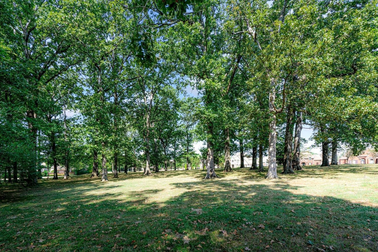 1349 Beautiful Place Collierville, TN 38017 - Photo 12 of 40 a huge green field with lots of trees