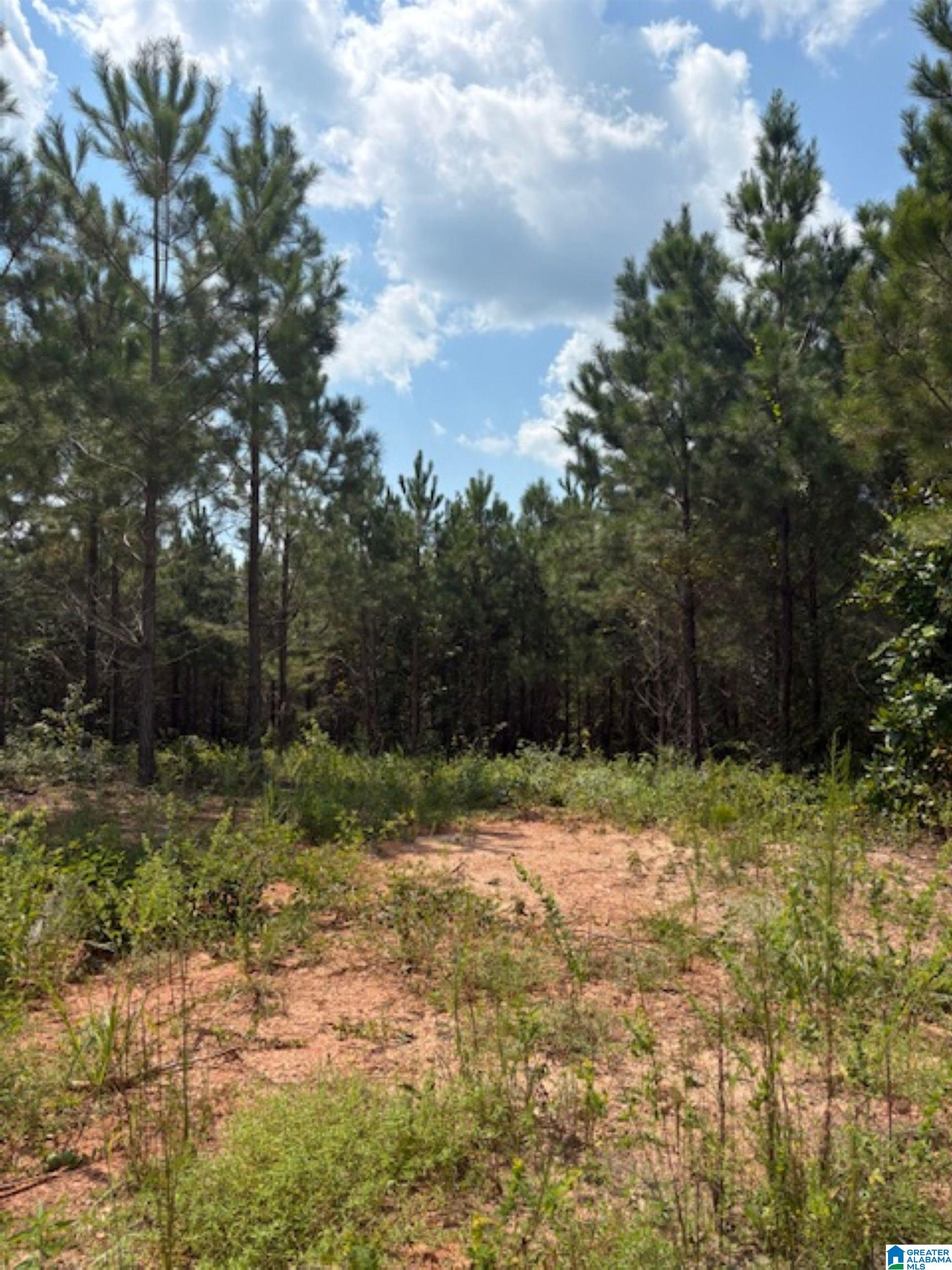 472 County Road, Unit 2 Clanton, AL 35045 - Photo 1 of 10