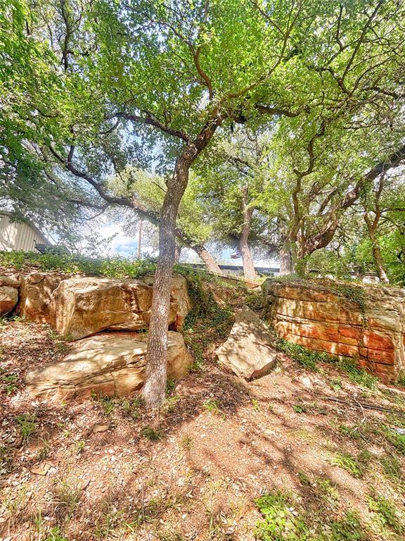 101 Riverview Road Millsap, TX 76066 - Photo 9 of 26 a view of a yard with a tree