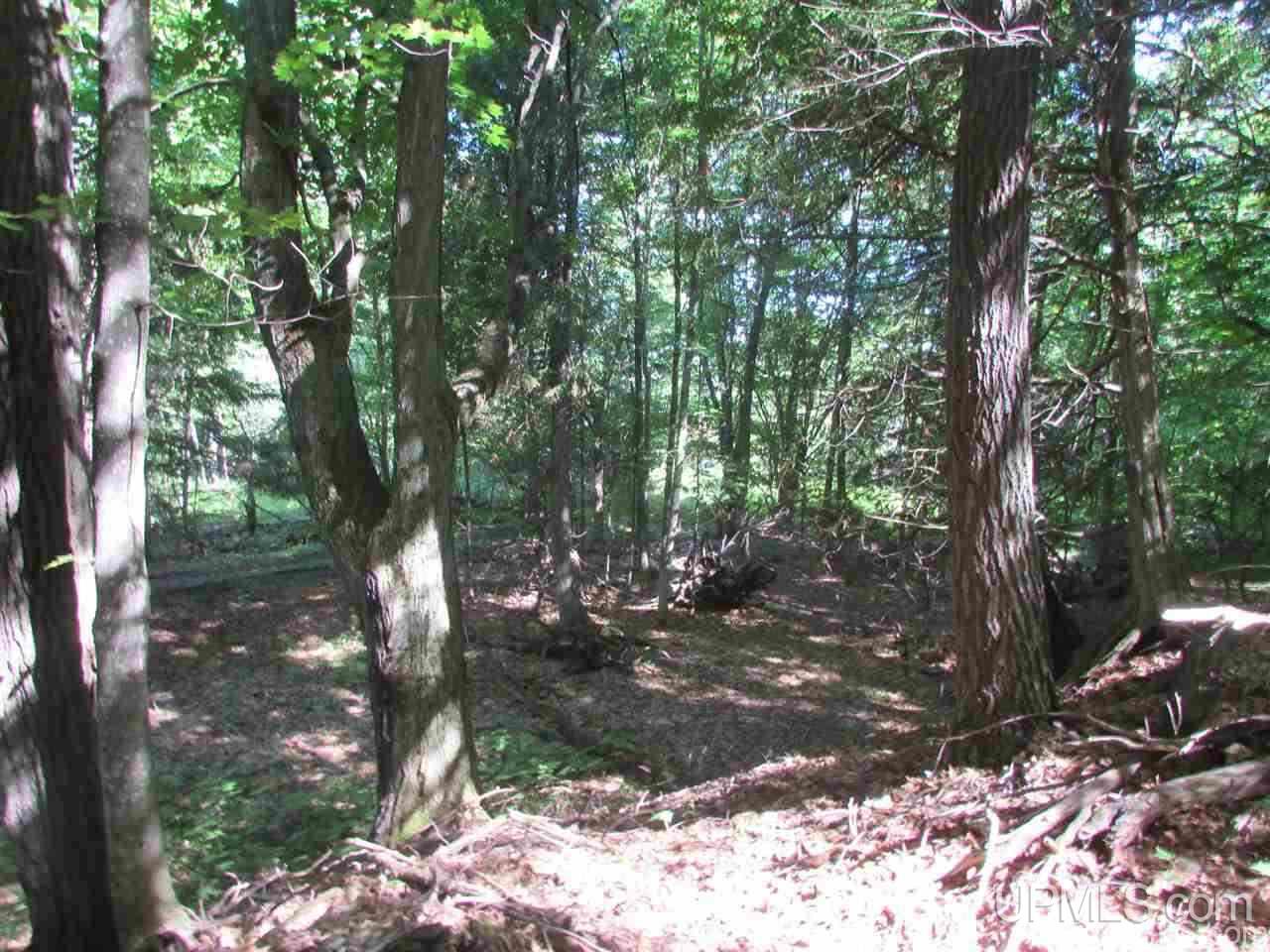 13000 Town Road Skanee, MI 49962 - Photo 14 of 46 Gallery Image 14