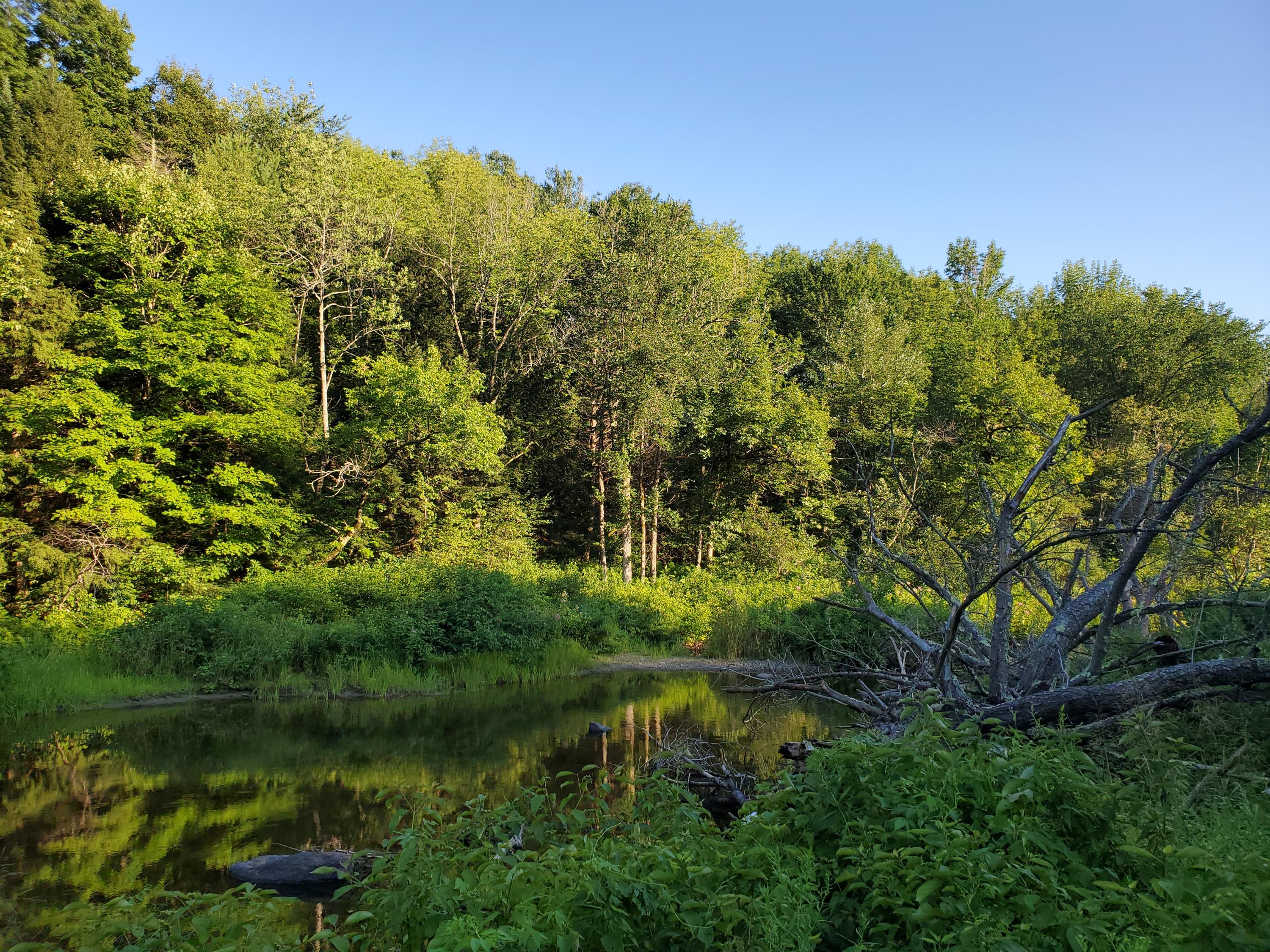 27 Millhouse Road Canaan, ME 04924 - Photo 43 of 47 42