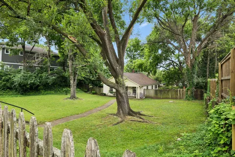 a view of a trees with backyard of house