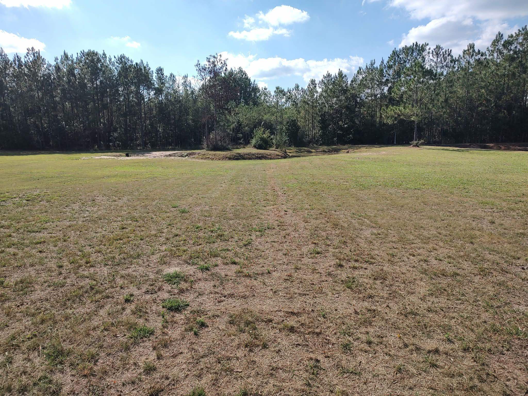 10019 Reed Ranch Road Silsbee, TX 77656 - Photo 3 of 6