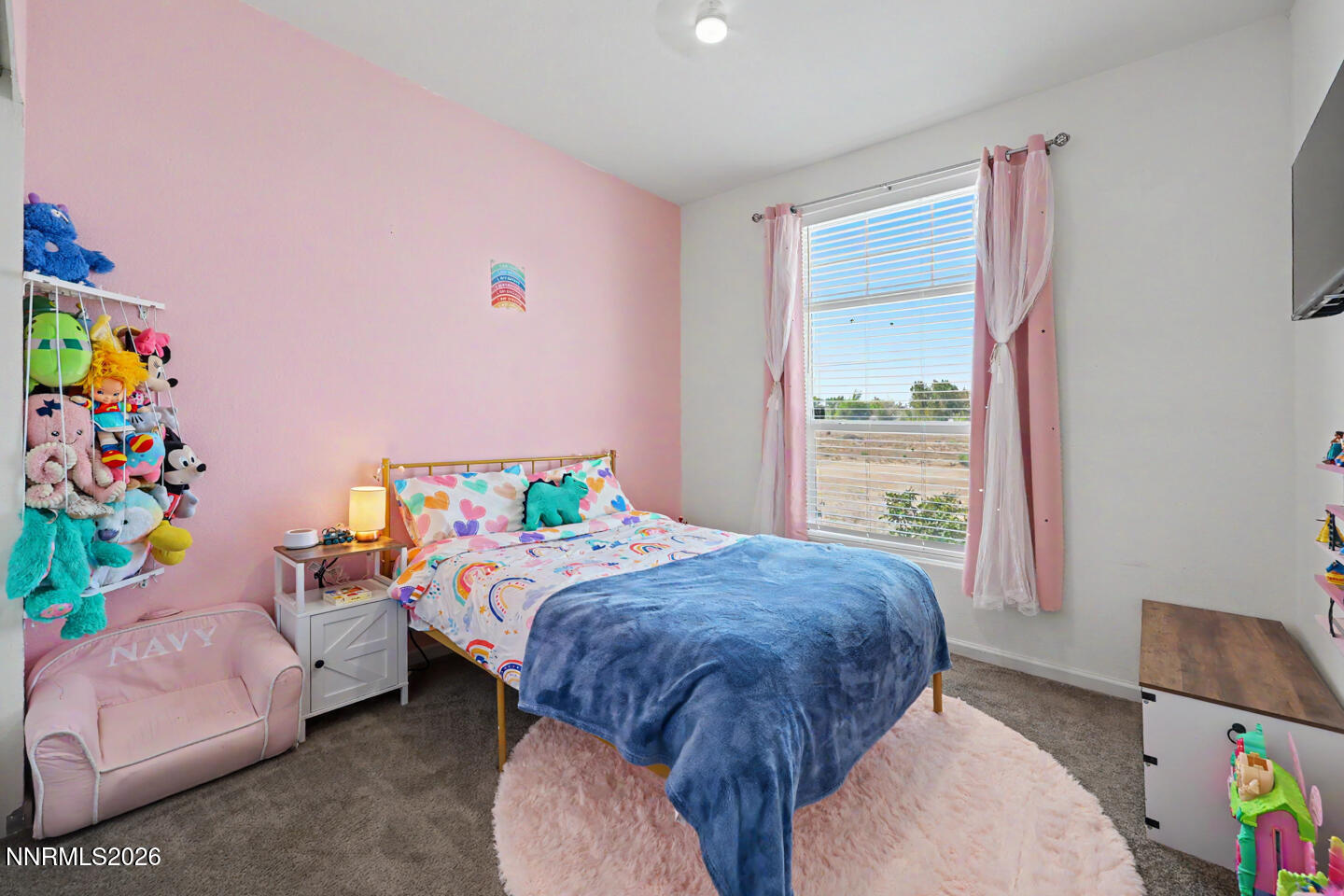 5878 Martin Lane Fallon, NV 89406 - Photo 22 of 26 IMG_0142