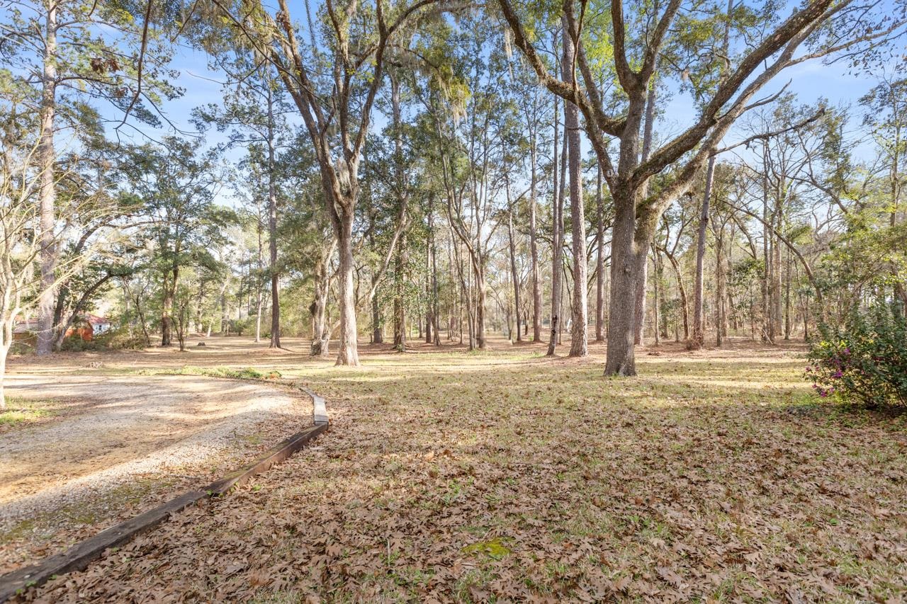 398 Tecumseh Road Monticello, FL 32344 - Photo 33 of 41