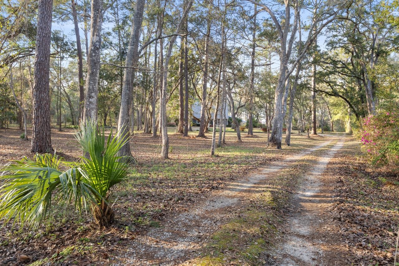 398 Tecumseh Road Monticello, FL 32344 - Photo 34 of 41