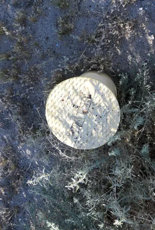 $7,500 | 2571 Atlantic Boulevard, Thermal, CA 92274